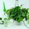 12 x Garden Cone Watering Flower Plant Waterers Bottle Irrigation System