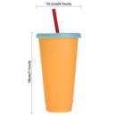 Discoloration Multicolor Temperature Coffee Straw Cup Plastic Cup Drink Ware