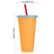 Discoloration Multicolor Temperature Coffee Straw Cup Plastic Cup Drink Ware