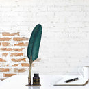 Calligraphy Feather Dip Pen with 2 Nib Set Quill Fountain Writing Pen Gift