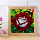Handmade DIY Full Round Drill Diamond Painting 5D Valentine Rose Poster Kit