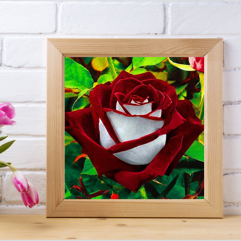 Handmade DIY Full Round Drill Diamond Painting 5D Valentine Rose Poster Kit