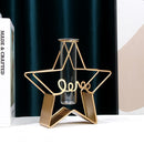 Triangle Rectangle Glass Test Tube Hydroponic Vase Iron Art Pentagram Heart