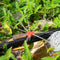 100x Adjustable Garden Drip Irrigation Nozzle Dripper Watering Sprinkler Em