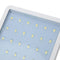 Solar LED Wall Lamp IP65 Human Induction Sensor White Light Outdoor (White)