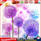 Dandelion 5D Full Diamond Painting Embroidery DIY Cross Stitch Home Decor Newly