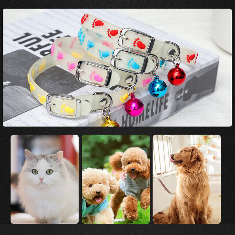 Glowing Pet Anti Lost Collar Luminous Neck Ring Cute Cat Dog Necklace Jewelry
