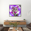 Oil Paint By Numbers Picture DIY Painting Rose Cat Painting Kit Acrylic Paint