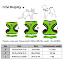 Polyester Cat Dog Harness Comfortable Cat Harness Vest Walking Leash for Outdoor