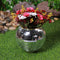 Decorative Plant Pots/Garden Plants with Hooks Chain for Gardening Enthusiast