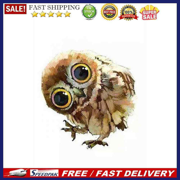 20x20cm Colorful DIY Paint By Numbers Kit Lovely Owl Animal for Decor Art G
