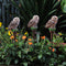 LED Solar Lights Owl Lawn Stakes Lamp Yard Art Home Garden Decor (Brown) Newly
