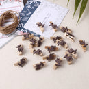 Christmas Wooden Clips Mini Craft Clothespins Party Favors Decor Pack of 50