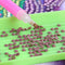 Round Drills Package DIY Embroidery Diamond Painting Rhinestones (DMC 3860)