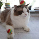 Rainbow Ball Training Practice Chew Toys Dog Cat Fetch Ball Catch