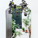 Halloween Rose Cane Vine Indoor Home Pendant Room Decor Black Decoration