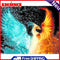 Art Canvas Oil Kit Drawing By Numbers Ice Fire Phoenix DIY Hand Painted Painting