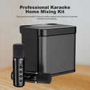 100W YS-203 Portable Karaoke Dual Microphone Wireless Speaker (Black)