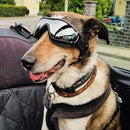Anti-UV Sunglasses Pet Dog Sunscreen Pet Waterproof Sunglasses Supplies B7Q8