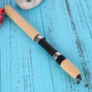 60/80/100cm Portable Shrimp Winter Ice Ice Fishing Rod Fish Address Pole Mini St