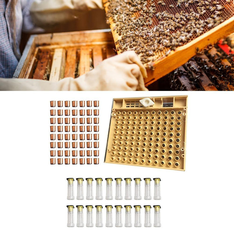 120pcs Bee Cell Cups Queen Rearing System Beekeeping Tool Cultivating Box Newly