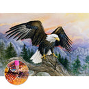 5D DIY Full Drill Diamond Painting Eagle Cross Stitch Embroidery (C1206)
