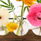 Desktop Ornament Flower Arrangement Hydroponic Vase Plant Flower Pot Glass Vase