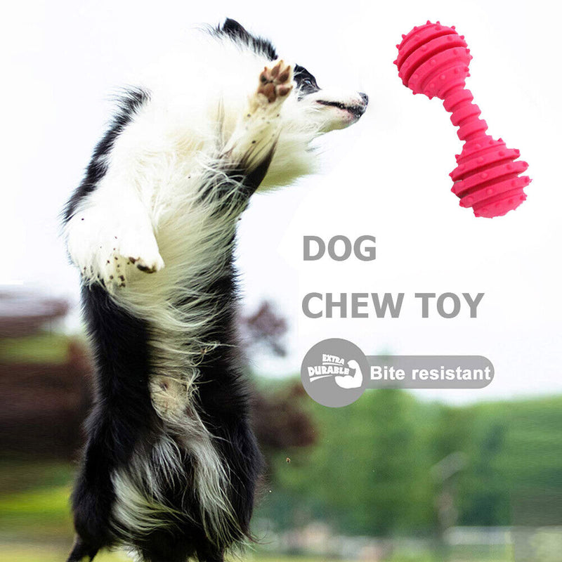 Dog Toys Pet Molar Teeth Stick Bite Sound Interactive Training Ball (Red) Newly