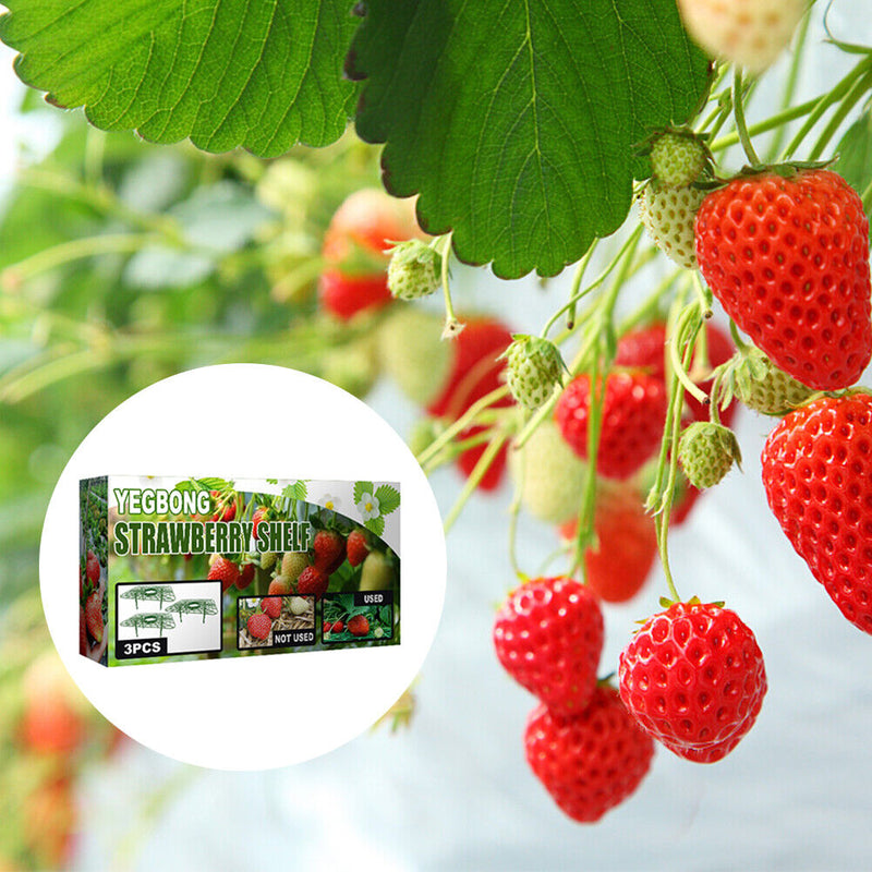 Strawberry Stand Balcony Vegetables Fruit Climbing Pillar Gardening Bracket