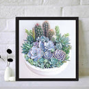 5D DIY Full Round Drill Diamond Painting Succulent Plants Cross Stitch Mosa
