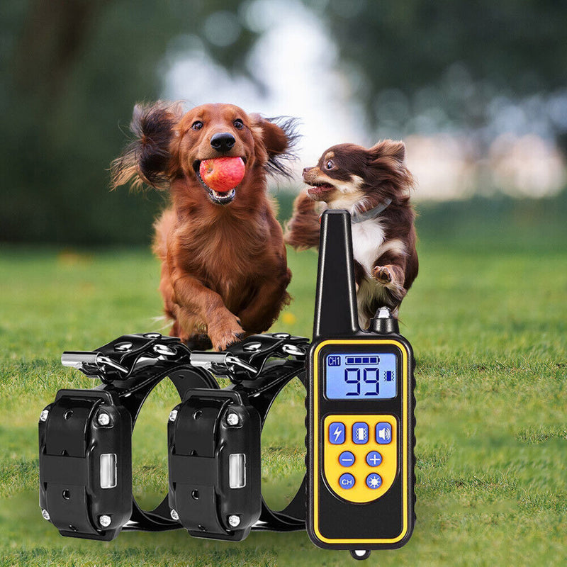 Dog Training Collar Waterproof Receiver Pets Control Rechargeable (2pcs AU)