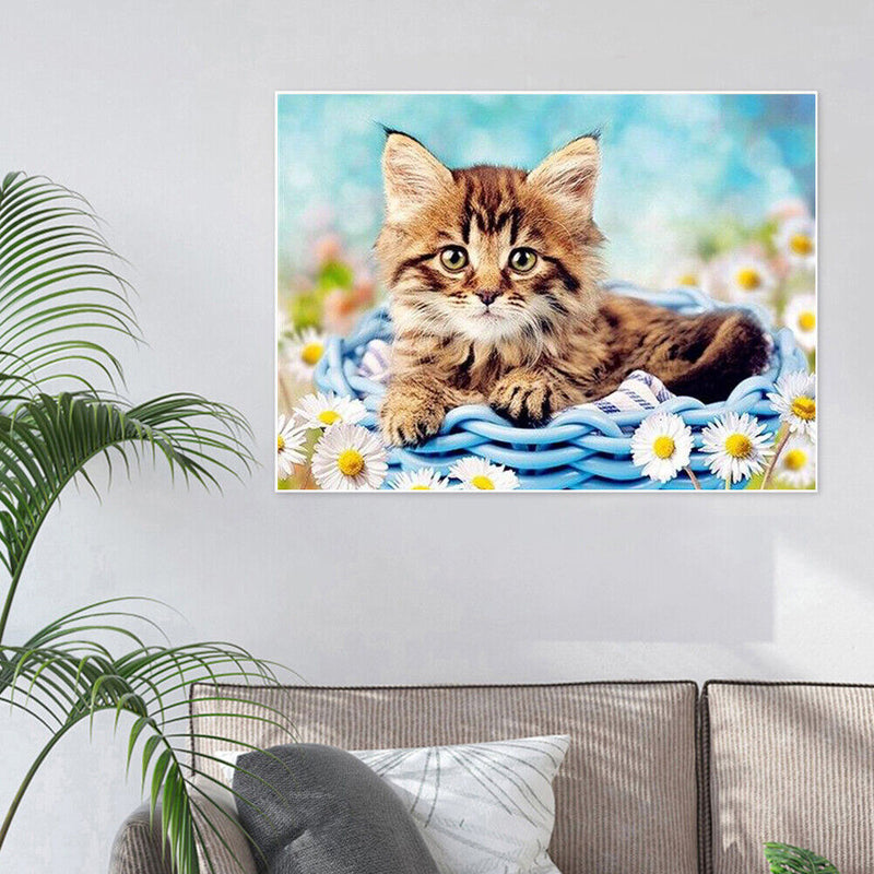 DIY Abstract Acrylic Picture Gift Cat in Basketball Digital Oil Hand Painting Kit