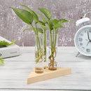 Transparent Glass Vase Wooden Frame Bonsai Desktop Ornaments Home Office Decor