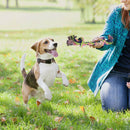 Small Dog Rope Chew Toys Kit Tough Strong Knot Pet J9Z8 Puppy Cotton V5K8