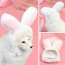 Birthday Photo Funny Easter Pets Cats Rabbit Hat Bunny Hat Easter Cap Dogs