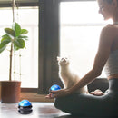 Cool Cold Massage Roller Ball Foot Back Body Massager Therapy Ball (Blue) Newly