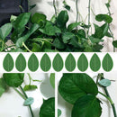 20PC x Plant Fixture Clip Plant Climbing Wall Self-Adhesive Fix Hot Tied O9K7