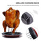 Barbecue Holder Racks Roast Chicken Forks Non-Stick Plate Stand Grilling Tools
