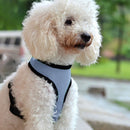 Reflective Chest Vest Breathable Cat Dog Collar Harness Chest Strap for Training