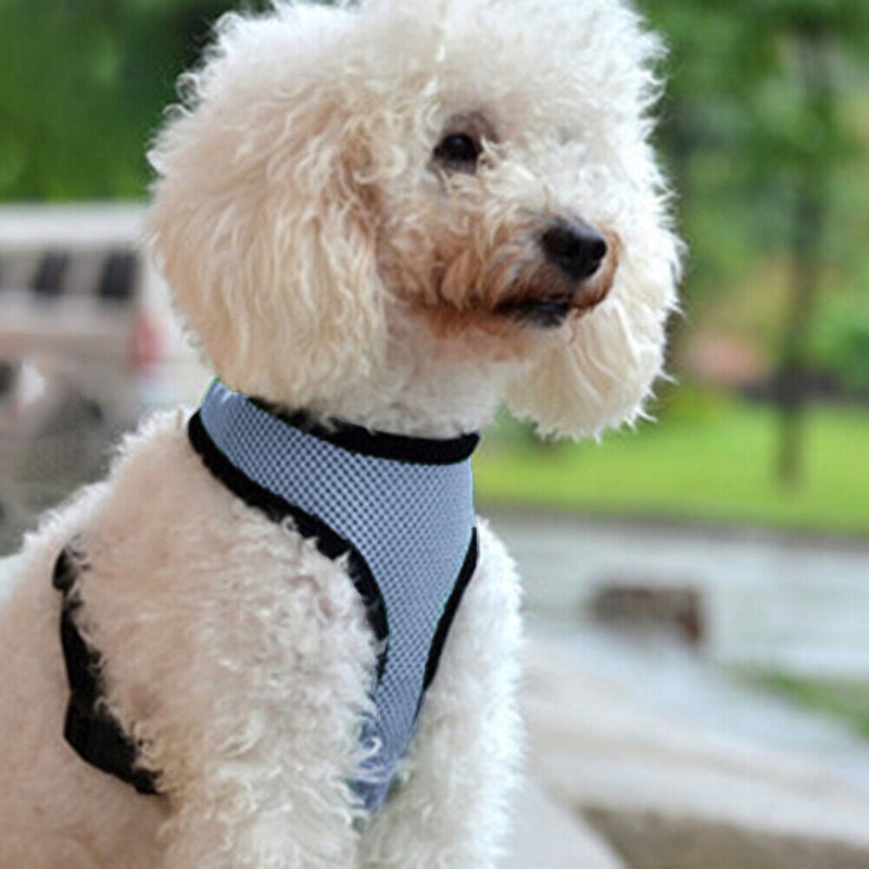 Reflective Chest Vest Breathable Cat Dog Collar Harness Chest Strap for Training