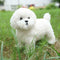 Realistic White Teddy Dog Simulation Dog Puppy Lifelike Handmade Stuffed H9V0