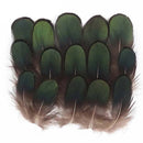 Amherst Golden Pheasant Feathers Lady Amherst Pheasant Feather Artificial Sale