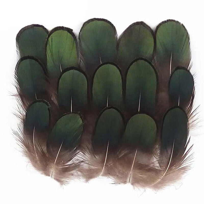 Amherst Golden Pheasant Feathers Lady Amherst Pheasant Feather Artificial Sale