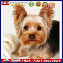 5D DIYDog Full Square Drill Mosaic Diamond Painting Animal Picture Rhinestone