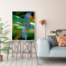 DIY Paint By Number Kit Colorful Dragonfly Acrylic Paint Art Craft Decor Gift