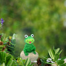 Tortoise Caterpillar Frog Sculpture Micro Landscape Flowerpot Statue (B) Newly