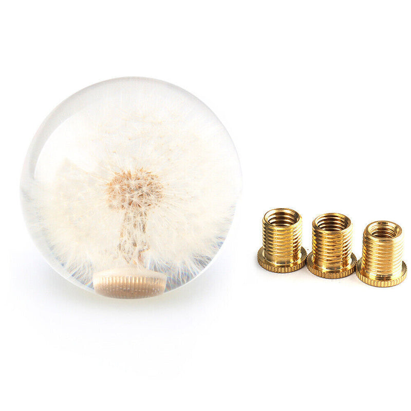 70MM Head Crystal Ball Dandelion Real Flowers Shift Knob Universal Shift Head