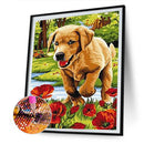 5D DIY Diamond Painting Animal Full Round Drill Wall Animal Decoration Pictur