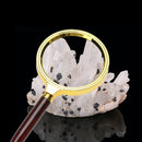 70mm Handheld 10X Magnifier Magnifying Glass Loupe for Reading Jewelry