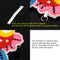 Artwork Stamped Needlework DIY Bead Cross Stitch Craft Keychain Cartoon Pig K